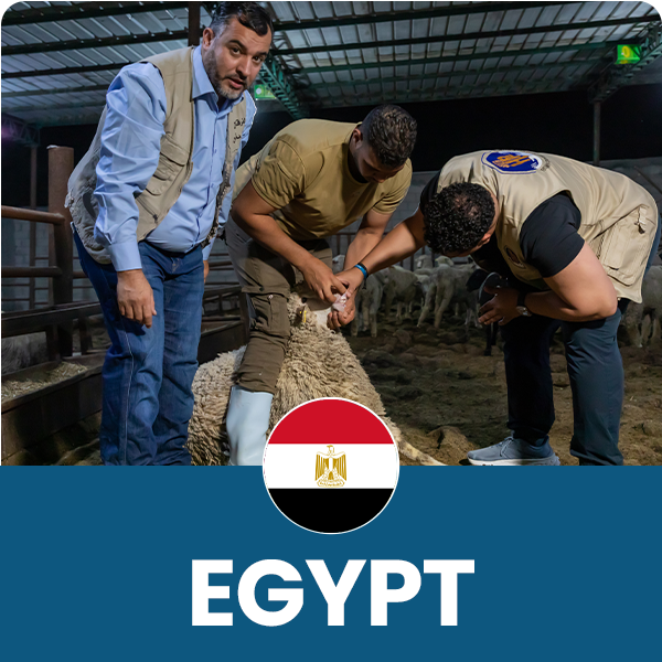 Egypt